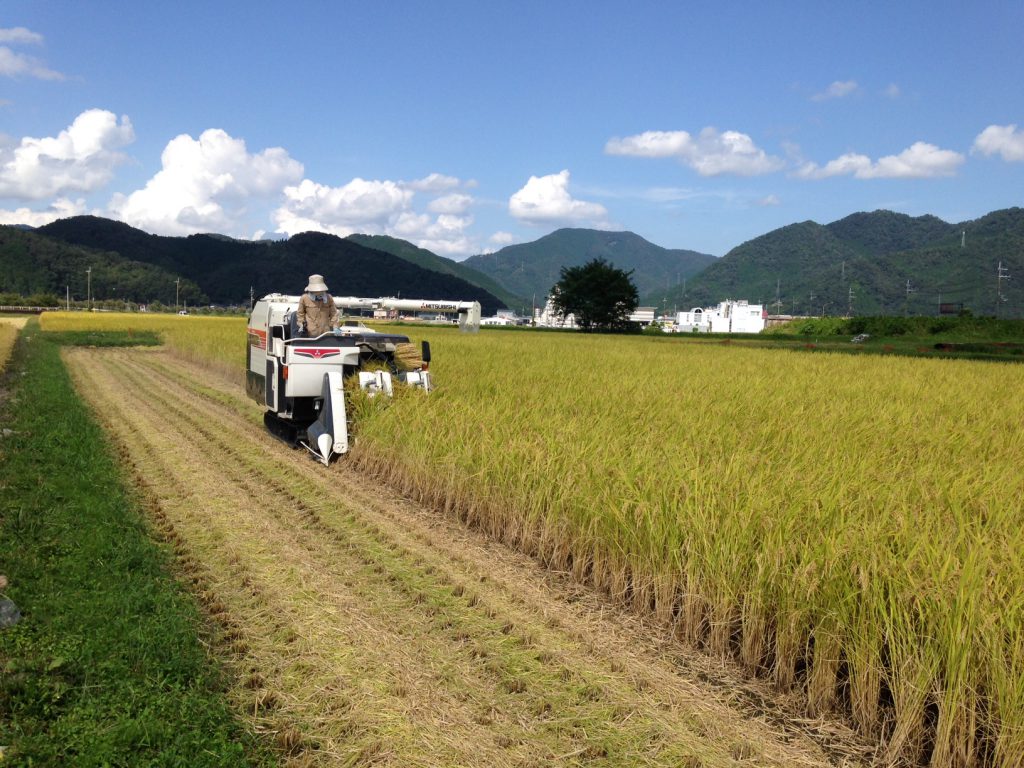 NOUEN（のうえん）では、和田山の農家さんの稲刈りを代行する「代行請け負いサービス」を2013年から始めています。写真はコンバインを運転する農女（のうじょ）の農園長です。