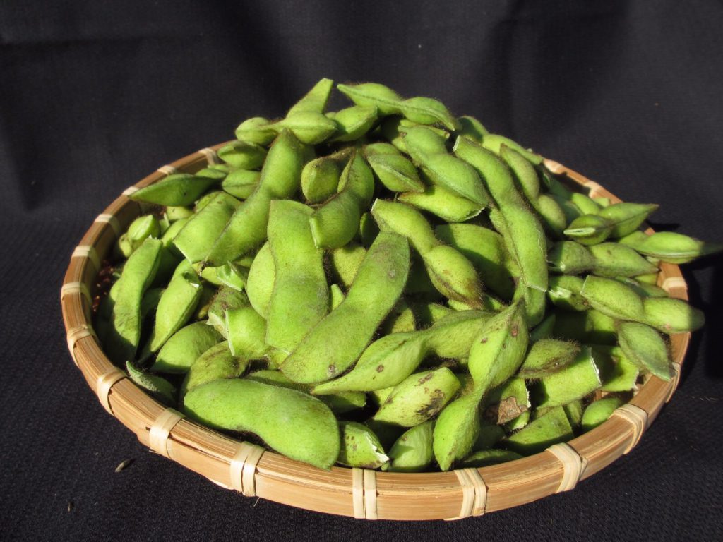 おかげさまで、2016年のNOUEN(のうえん)丹波黒枝豆は全ての収穫を終え、今年も無事に販売を終了いたしました。